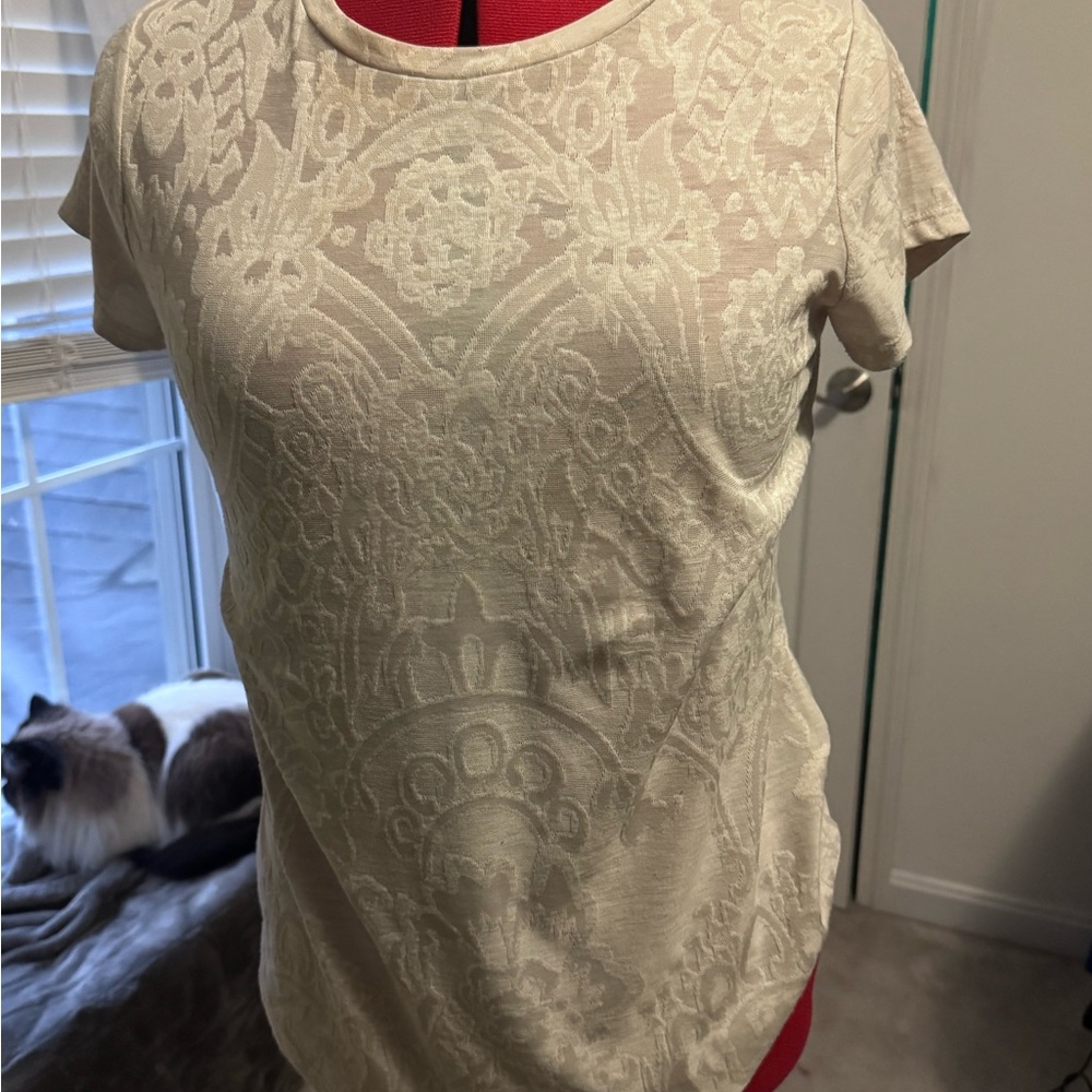 Elegant Cream Lace Women Top